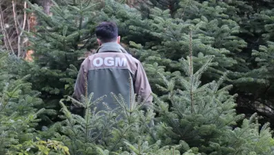 Bolu ormanlarında yılbaşı nöbeti