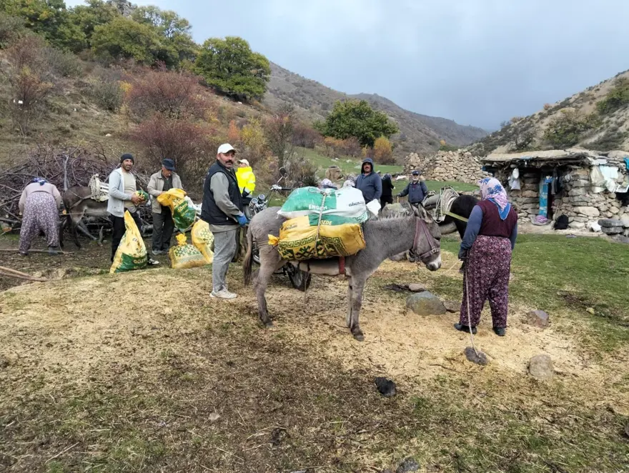 Yılın ilk mahsulü toplandı: Sezon bereketli geçti 1 Yılın ilk mahsulü toplandı: Sezon bereketli geçti 1