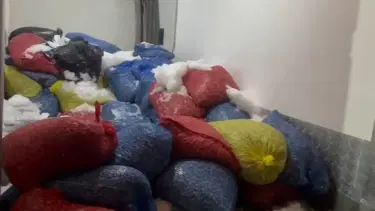 Samsun'da 3,8 ton kaçak avlanmış midye ele geçirildi