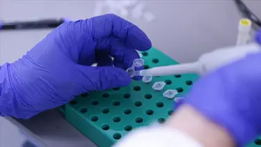 Yerli VLP corona virüs aşısı mutasyonlara karşı etkili mi?