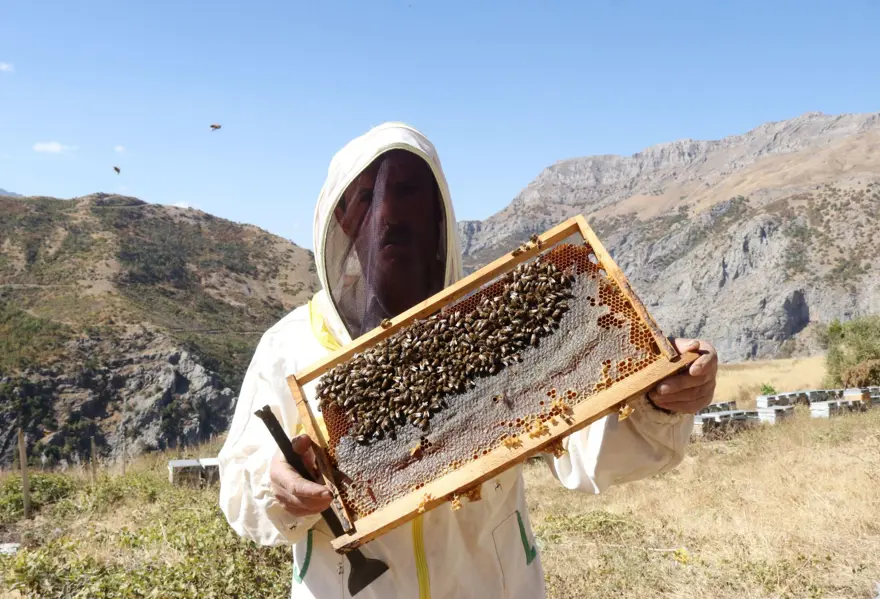 51 yaşında Ata toprağında 2,5 ton üretiyor: Ailesiyle yalnız yaşadığı köyde yapıyor 1