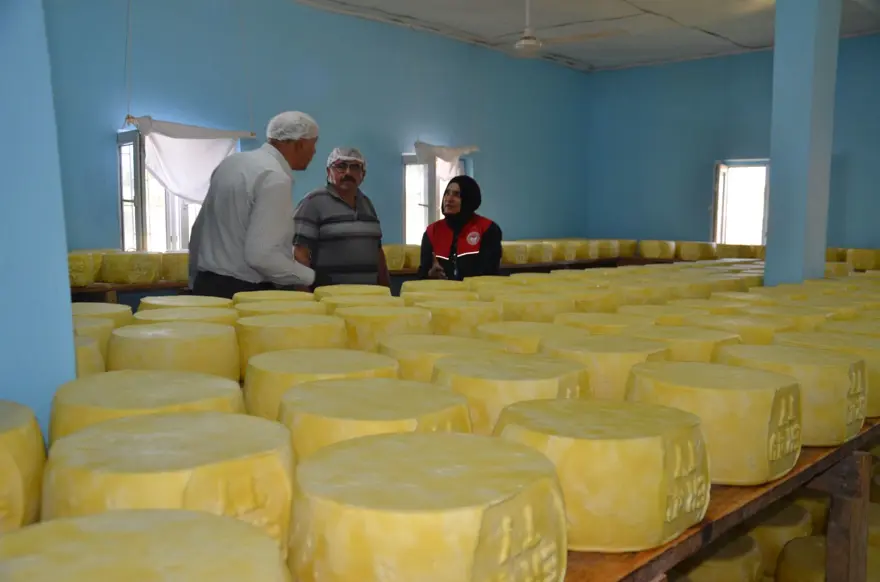 Girişimci 5 kardeş tesis kurdu şimdi ülkenin dört bir yanına pazarlanıyor 