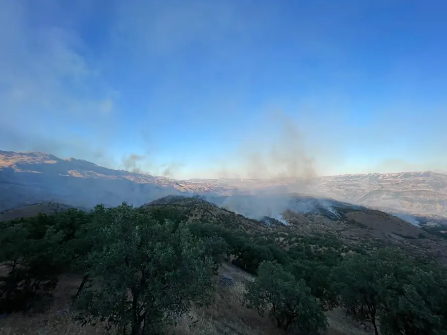 Adıyaman’da yangın: Bir anda büyüdü, ekiplerin müdahalesisürüyor 5