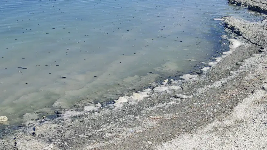 Burdur Gölü sahili morardı 4