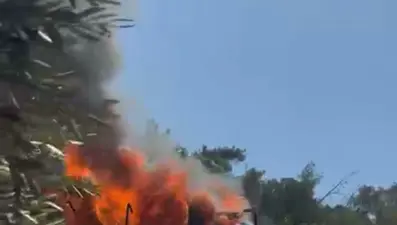 Orman kıl payı yanmaktan kurtuldu