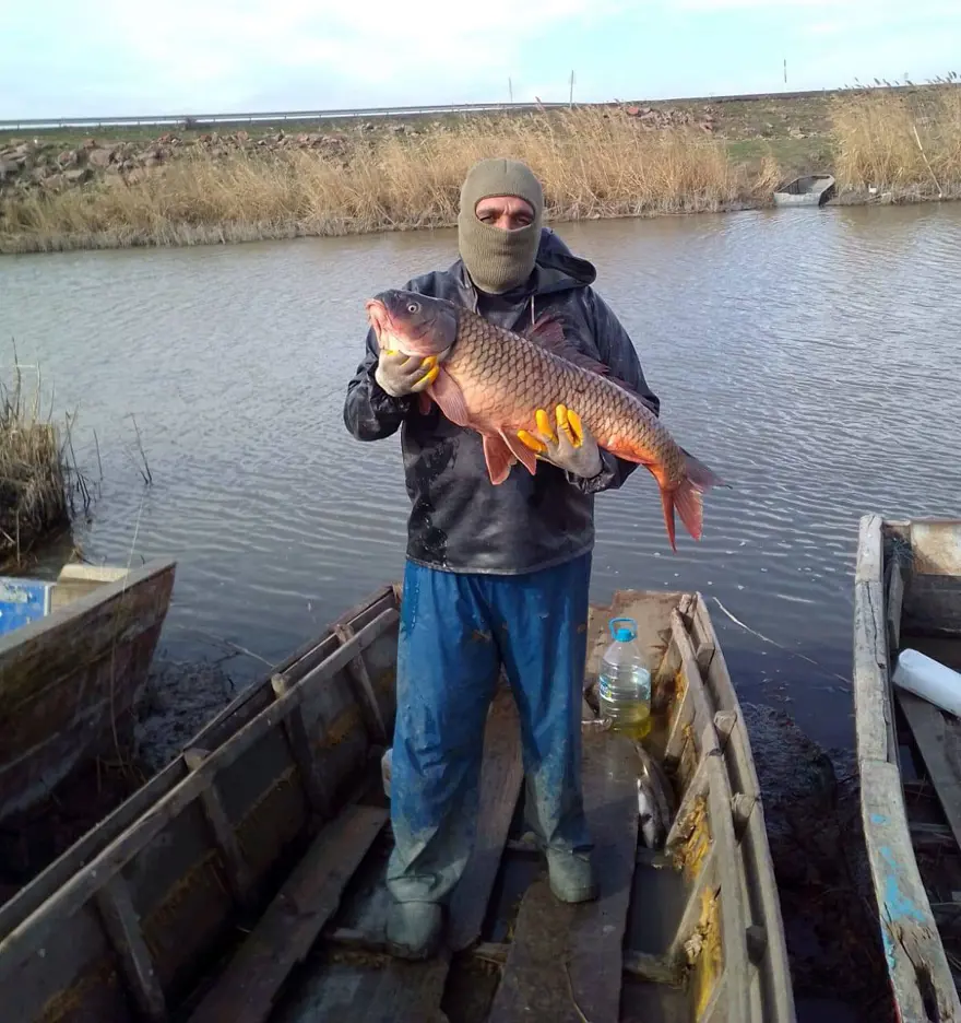 Edirne'de 18 kiloluk sazan balıkçılardan kaçamadı 2