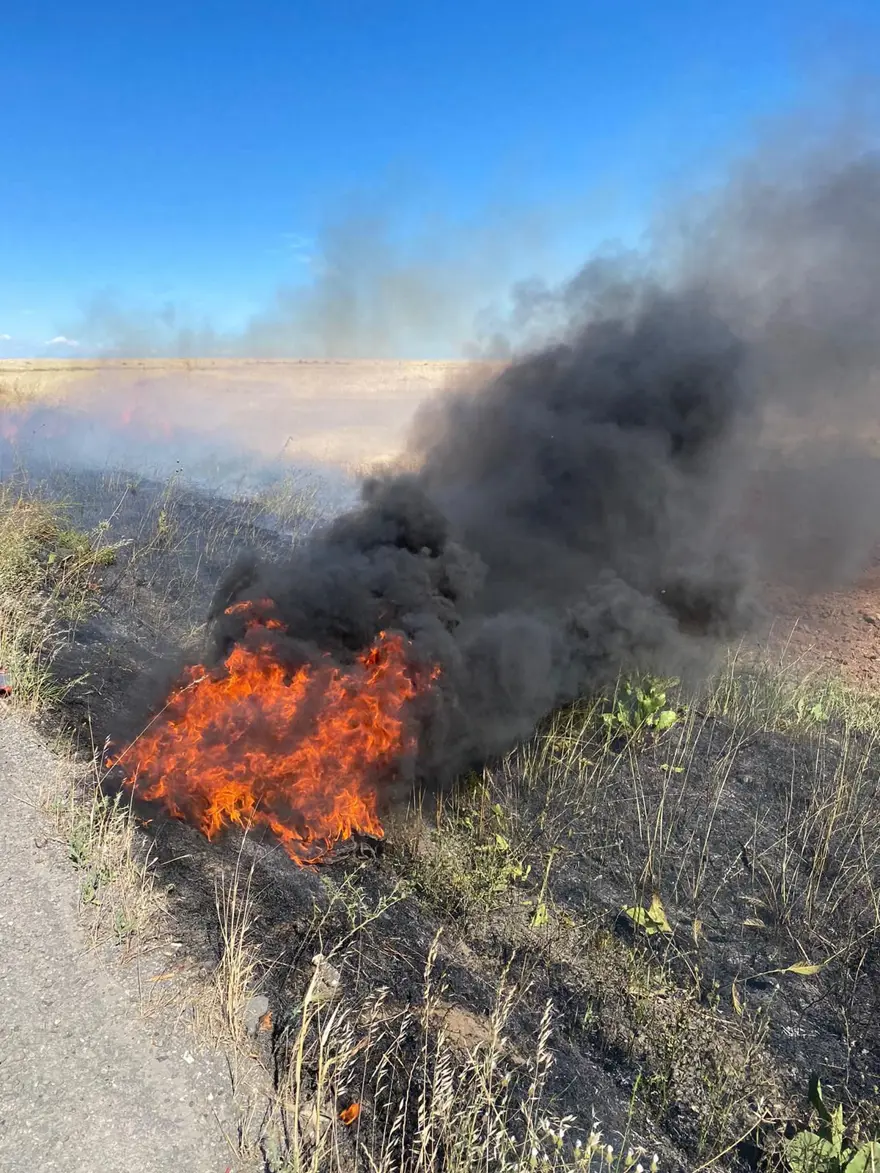 Şırnak'ta 60 dönüm buğday tarlası kül oldu 1
