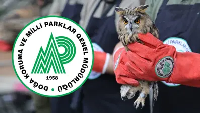 Doğa Koruma ve Milli Parklar Genel Müdürlüğü 240 personel alımı 2025: DKMP başvurusu nasıl yapılır, şartlar neler?