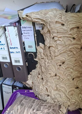 "Bundan hemen kurtulmam gerek"