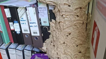Ofisine döndü, gözlerine inanamadı. "Bundan hemen kurtulmam gerek"