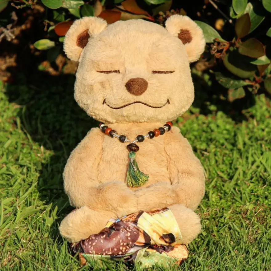 İnternetin yeni fenomeni Yogi Ayı Meddy Teddy 16