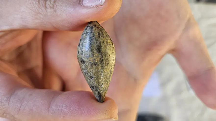 Çanakkale'deki kazıda yaklaşık 3400 yıllık kurşun sapan taşı bulundu 1