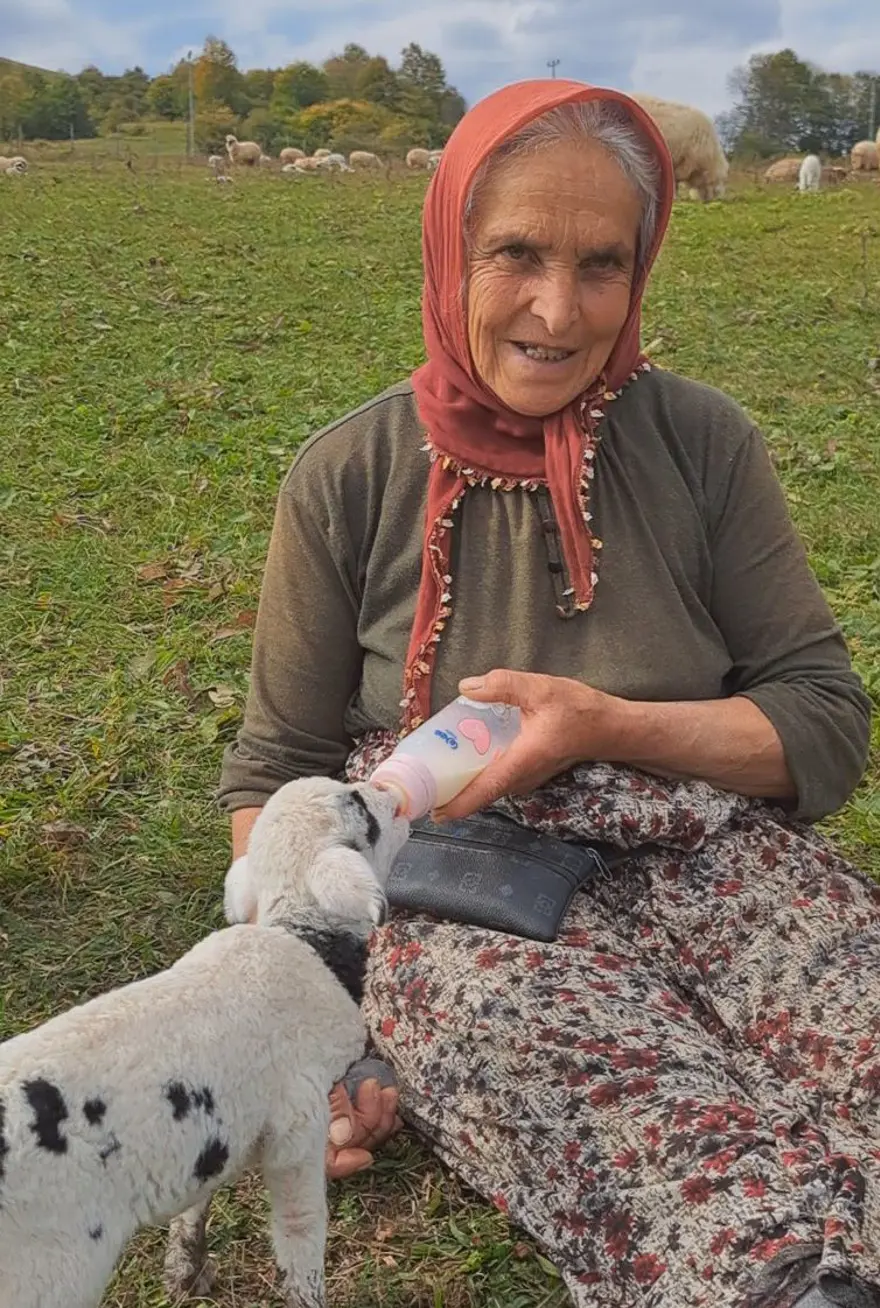 2 yıl önce eşini kaybetti: Oğluyla birlikte çobanlık yapmaya başladı 3 2 yıl önce eşini kaybetti: Oğluyla birlikte çobanlık yapmaya başladı 3