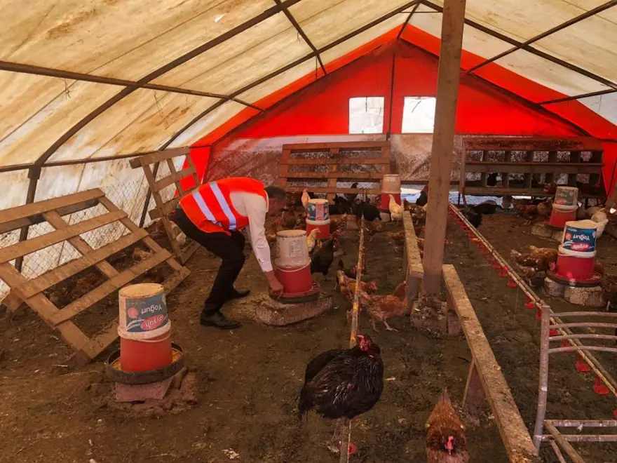 Tavuklara Neşet Ertaş dinletiyor 2 Tavuklara Neşet Ertaş dinletiyor 2