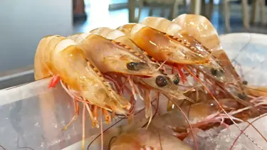 Bin 500 liradan 400 liraya kadar düştü: Tezgahlarda karides bolluğu