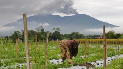 Marapi Yanardağı tekrar faaliyete geçti