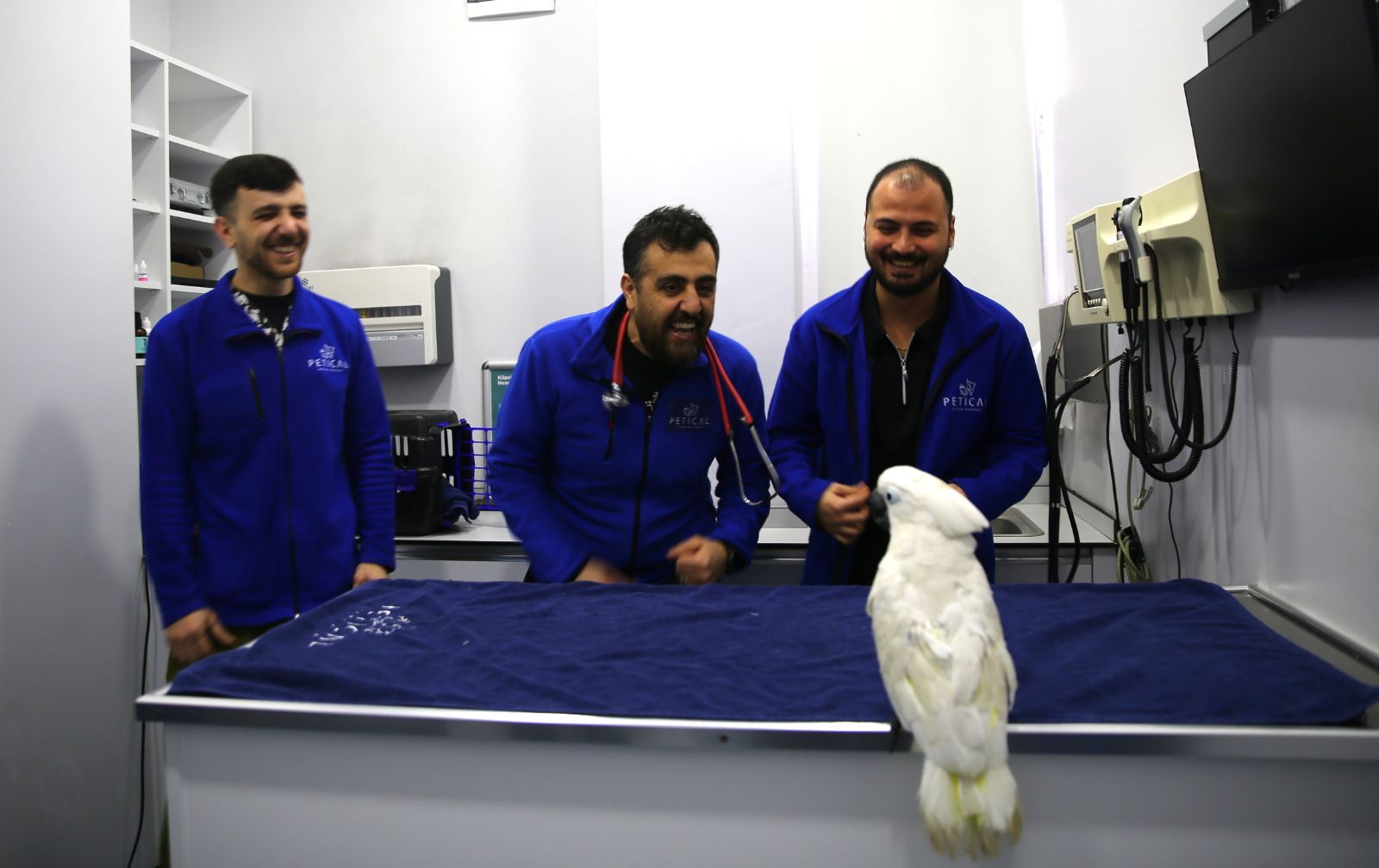 Veterinerlerle dans eden papağan "Ares" ilgi odağı oldu