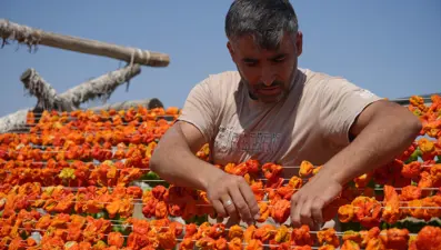 Gastronomi kentinde güneşe bırakılan kurutmalıklar eşsiz görüntüler oluşturuyor