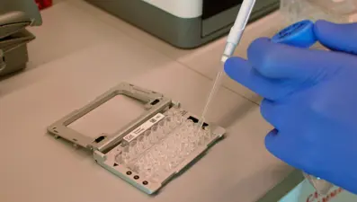 Genetikte devrim: Bilim insanları, DNA’yı sıfırlayan teknoloji geliştirdi