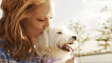 Evcil hayvanıyla birlikte gömülmek isteyenlere izin çıktı