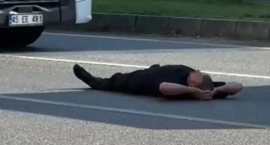 Yolun ortasına yattı, trafiği tehlikeye attı 1