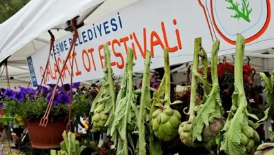 Alaçatı Ot Festivali kaç gün sürecek? İşte 2024 Alaçatı Ot Festivali tarihi