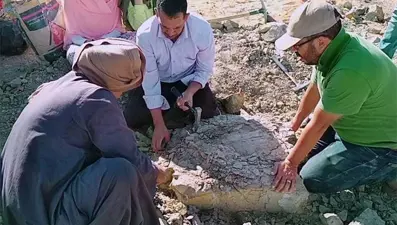 Mısır'da 70 milyon yıllık kaplumbağa fosili bulundu