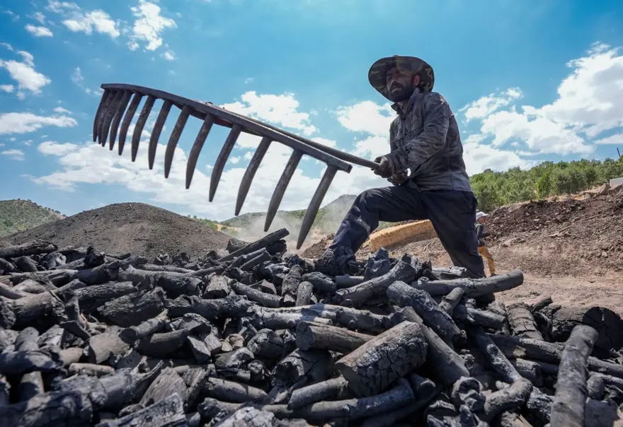 Torakçılardan yaz ortasında 90 derece sıcağın altında mesai: “Sıcakhavadan şikayet edenler gelip bizi görsün” 2 Torakçılardan yaz ortasında 90 derece sıcağın altında mesai: “Sıcakhavadan şikayet edenler gelip bizi görsün” 2