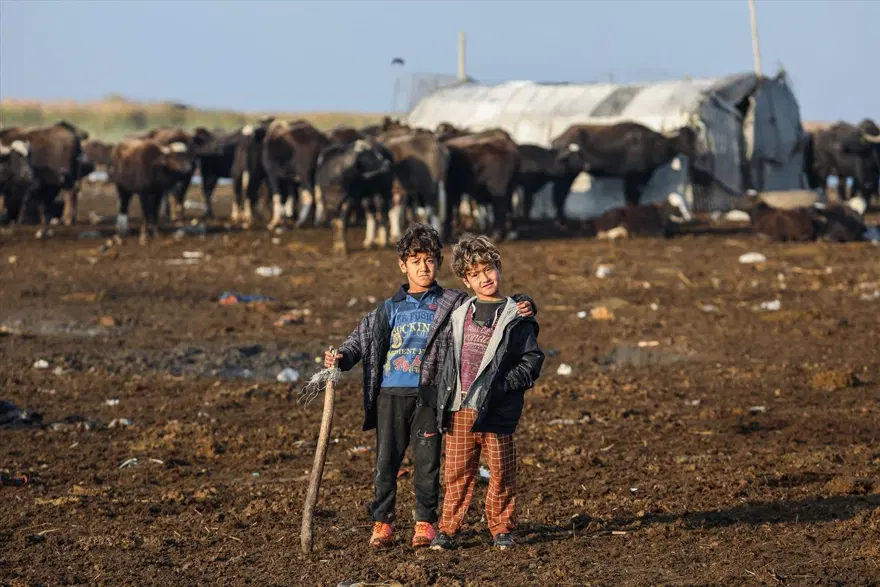 Mezopotamya'nın saklı güzelliği: Bataklıklar 31