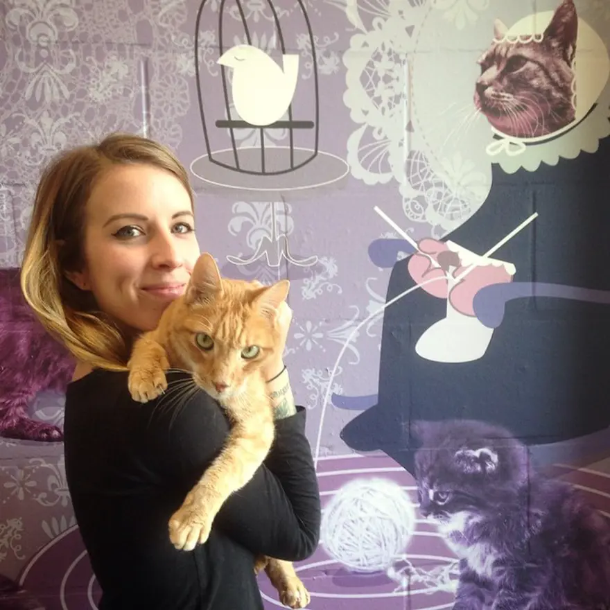 Hayatını kedileri kurtarmaya adadı 9