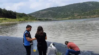 Bursa'da Boğazköy Barajı'nın yüzeyi siyaha büründü