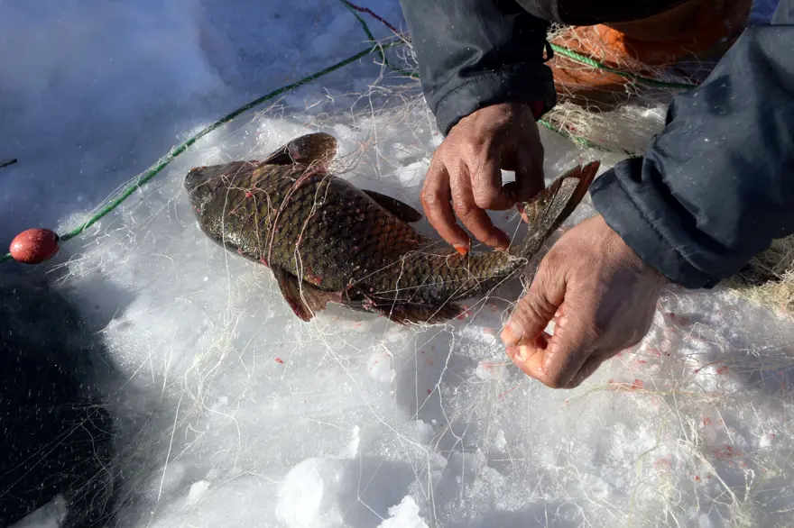 Donan Çıldır Gölü'nde balık tutuyorlar 16