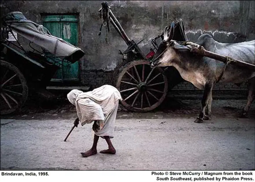 Afgan Kızı ve diğer fotoğrafları 81 Afgan Kızı ve diğer fotoğrafları 81
