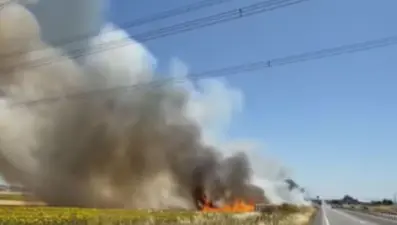 Silivri'deki ot yangını kontrol altında