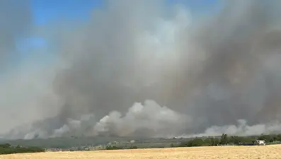 İstanbul Silivri'de orman yangını