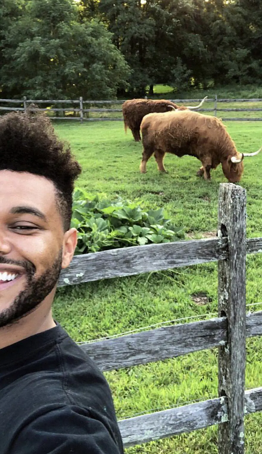 Bella Hadid ile The Weeknd ilişkisine Yolanda Hadid onayı 7