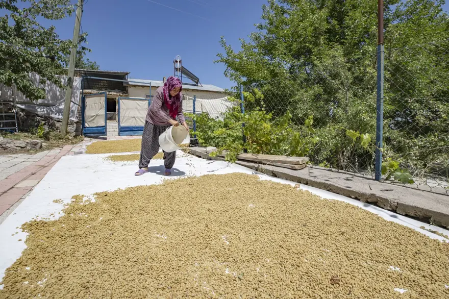 Coğrafi işaretli "Ulukale Dutu" geçim kaynağı oldu! Güneşin karşısında kurutuluyor, elekten geçirilerek hazırlanıyor 13