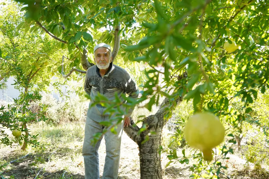 85 yaşındaki İbrahim dedenin "Hayır Bahçesi": 30 yıldır ücretsiz dağıtıyor 5