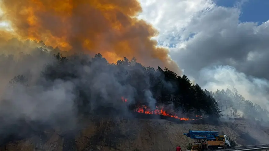 Bolu'da orman yangını: Kontrol altına alındı 