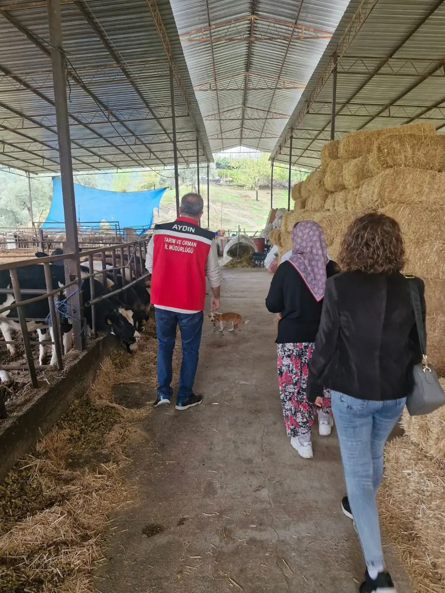 Kendi işletmesini kurdu: 25 büyükbaş hayvanla başladı 2 Kendi işletmesini kurdu: 25 büyükbaş hayvanla başladı 2