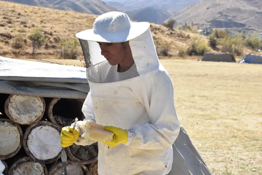 Yaylalarda üretilen karakovan balının hasadına başlandı 