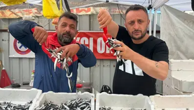 Kilosu 70 liraya kadar düştü, tezgahlar şenlendi: Dün de bol, bugün de daha bol