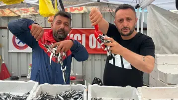 Kilosu 70 liraya kadar düştü, tezgahlar şenlendi: Dün de bol, bugün de daha bol