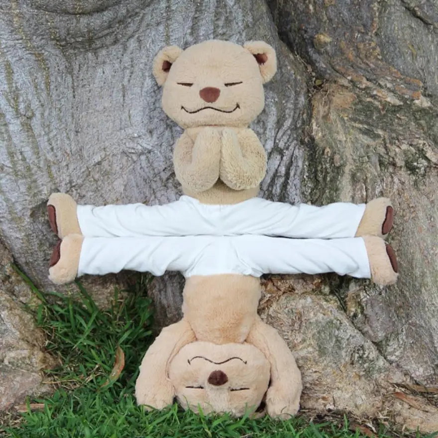 İnternetin yeni fenomeni Yogi Ayı Meddy Teddy 23