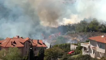 Beykoz’da orman yangını
