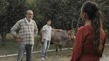 35. Fecr Film Festivali'ne 6 Türk filmi katılacak