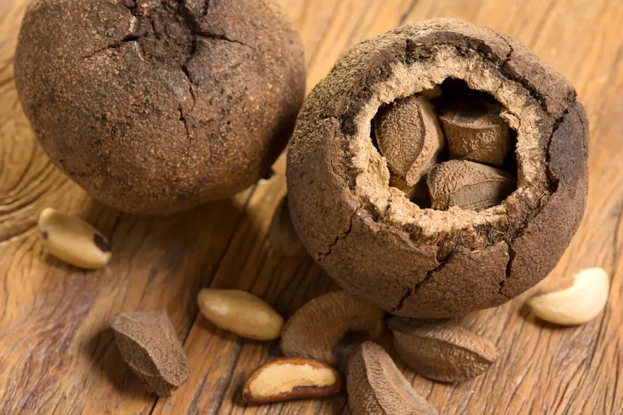 Doğadaki en yüksek selenyum kaynağı ama böbrekleri ve kalbi bitiriyor! Kanadalı diyetisyen uyardı: 7 tane yemek bile öldürebilir 2