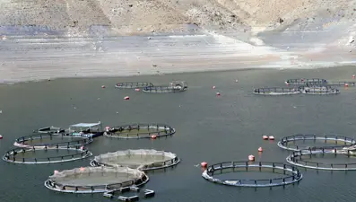 Sarımehmet Barajı'nda endişelendiren görüntü