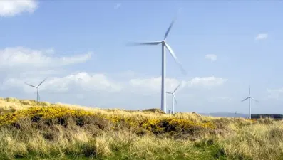 Enerjide acele kamulaştırma kararları