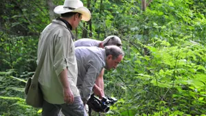 NTV Yeşil Ekran başladı NTV Yeşil Ekran başladı